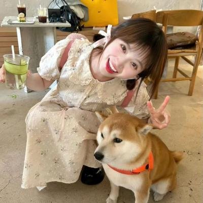 八公犬物语